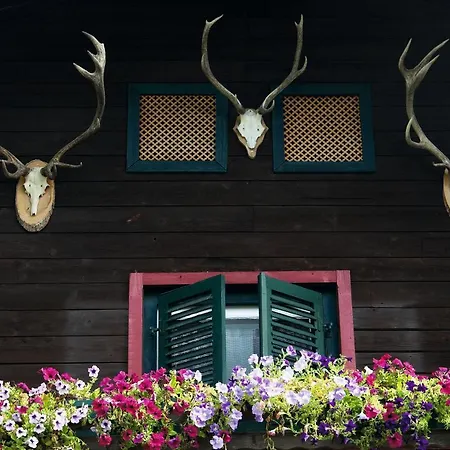 Inn Angerer Alm Sankt Johann in Tirol