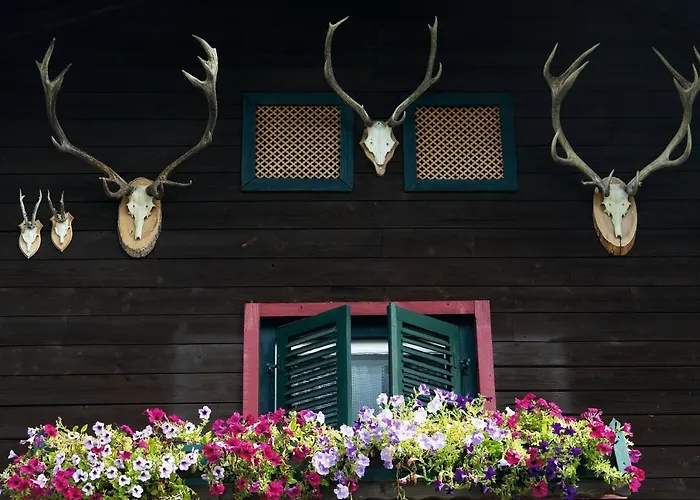 Locanda Angerer Alm Sankt Johann in Tirol