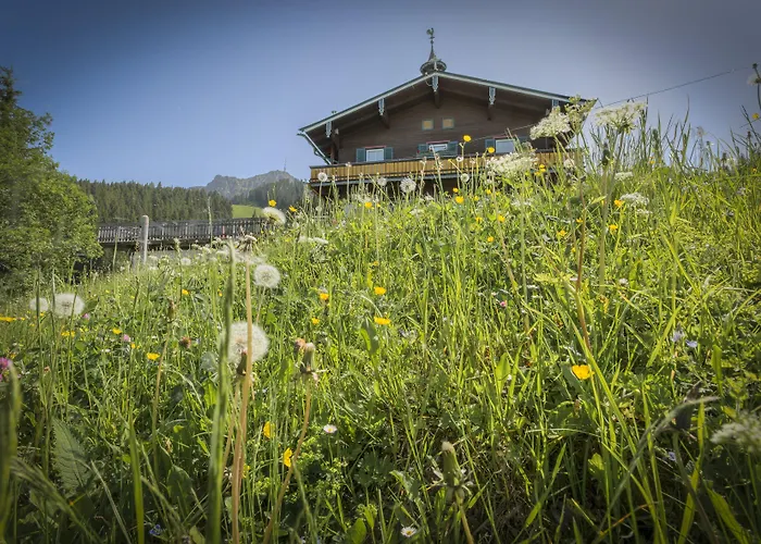 Angerer Alm * Sankt Johann in Tirol