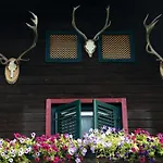Penzion Angerer Alm Sankt Johann in Tirol